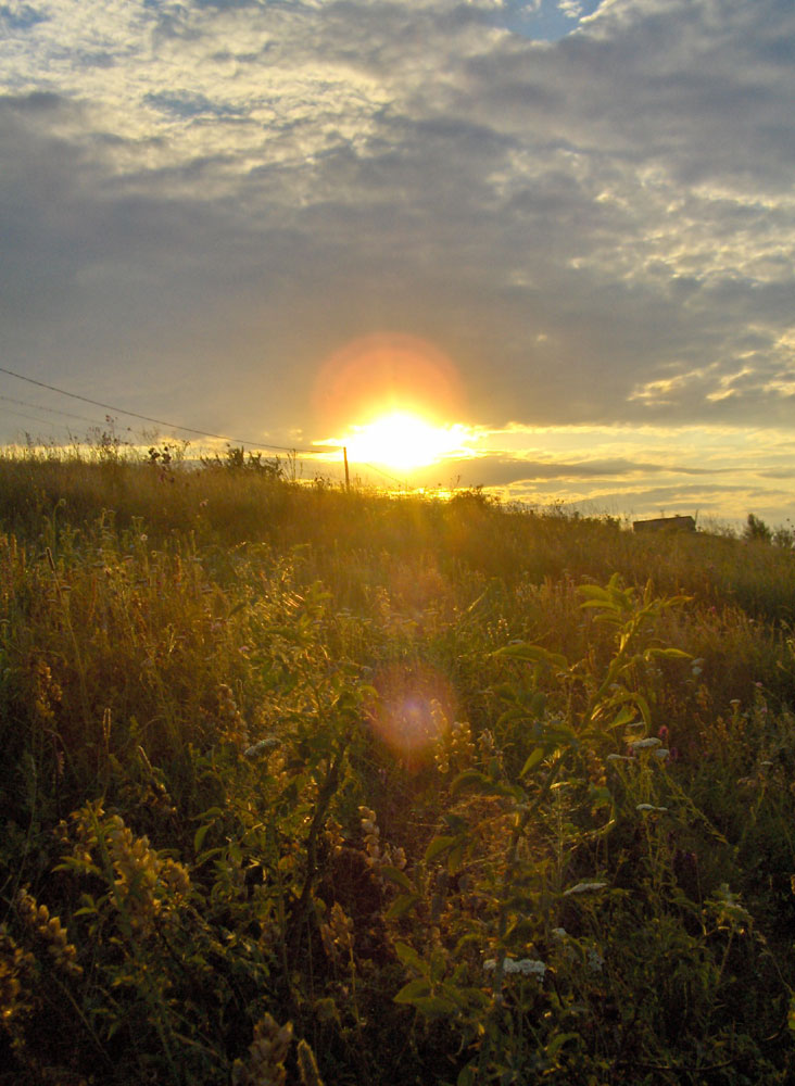 before sunset