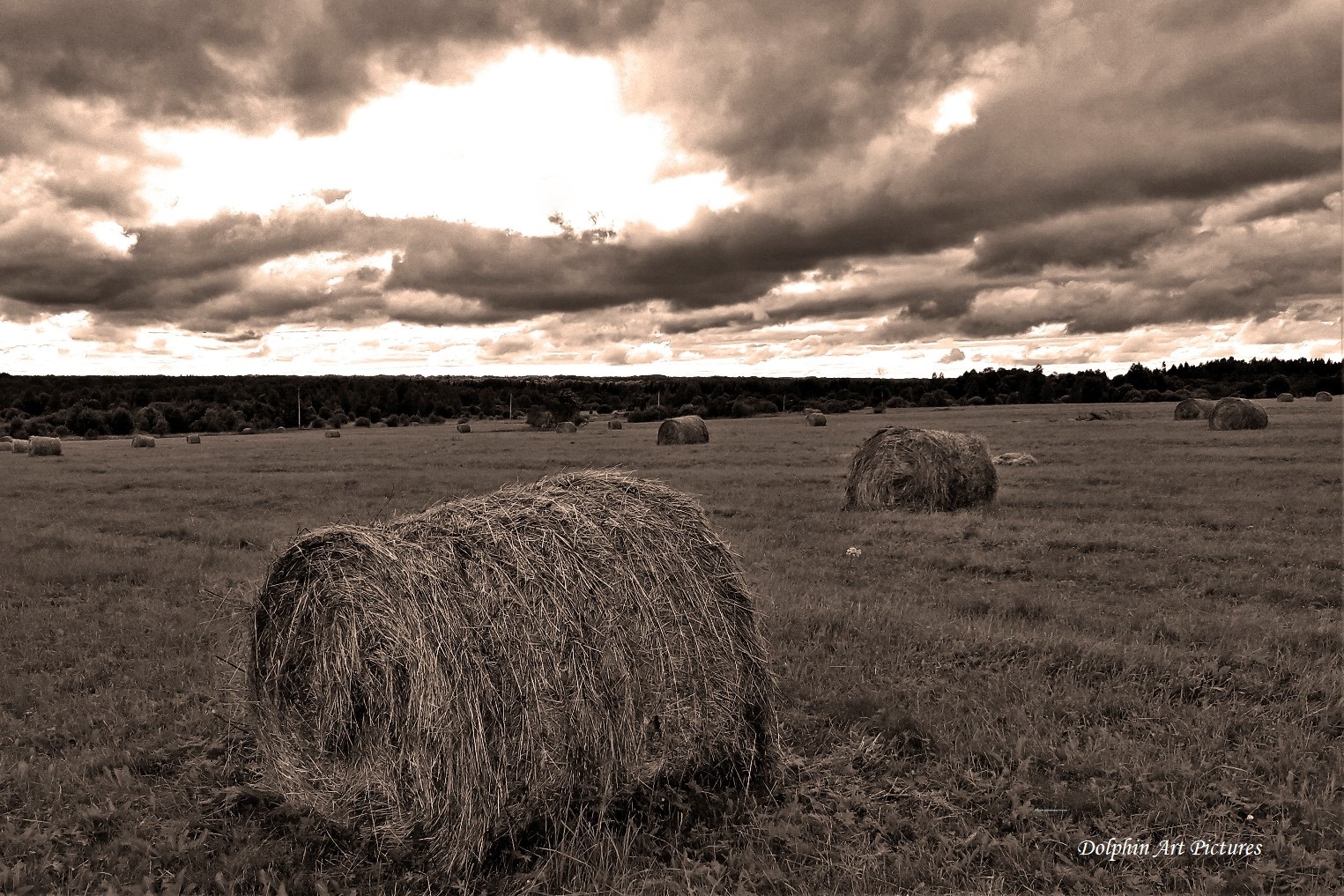 Before the rain