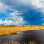 Before the thunderstorm