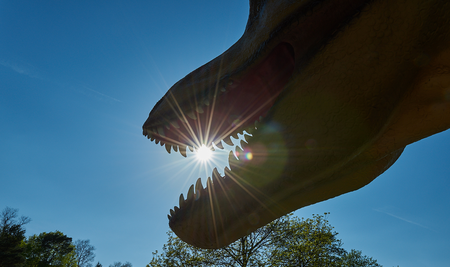 Begann so die Eiszeit? ....Fraßen Dinosaurier die Sonne auf? 