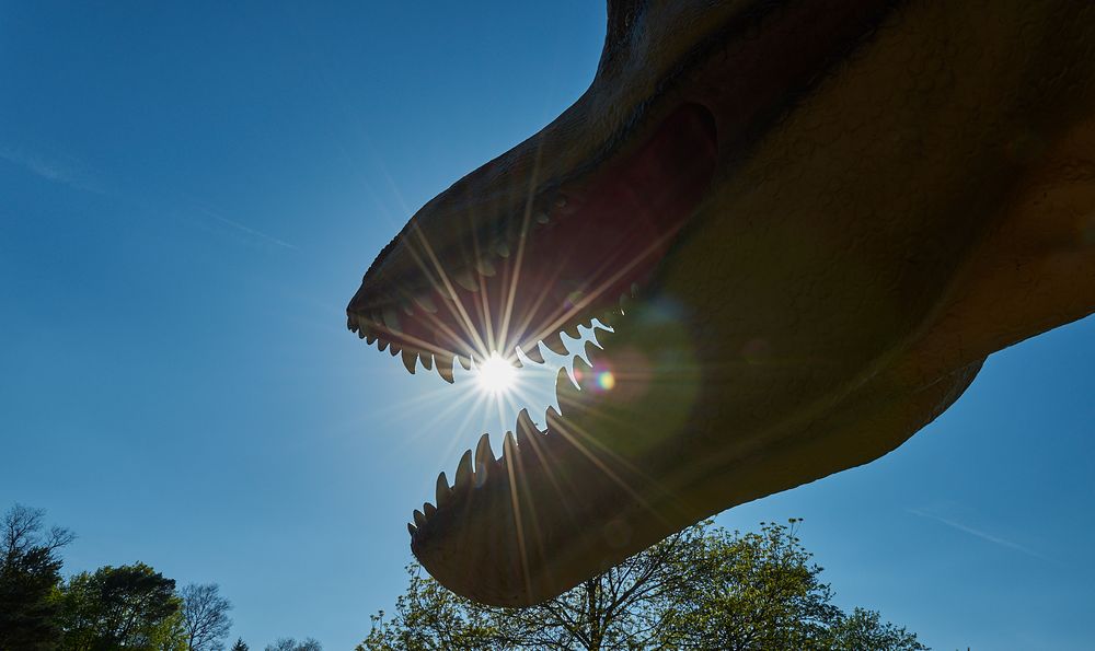 Begann So Die Eiszeit Frassen Dinosaurier Die Sonne Auf Foto