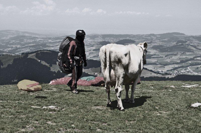 Begegnug der besonderen Art.