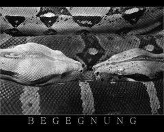 BEGEGNUNG