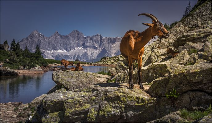 ——begegnung——