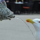 Begegnung am Brunnen