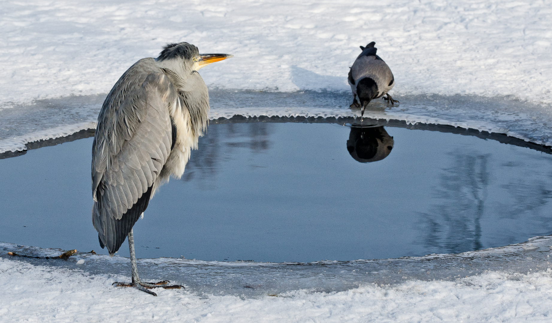 Begegnung am Eisloch