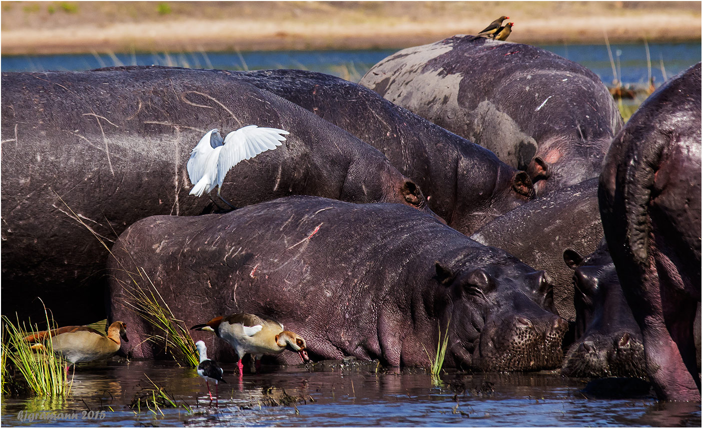 begegnung am fluss.....