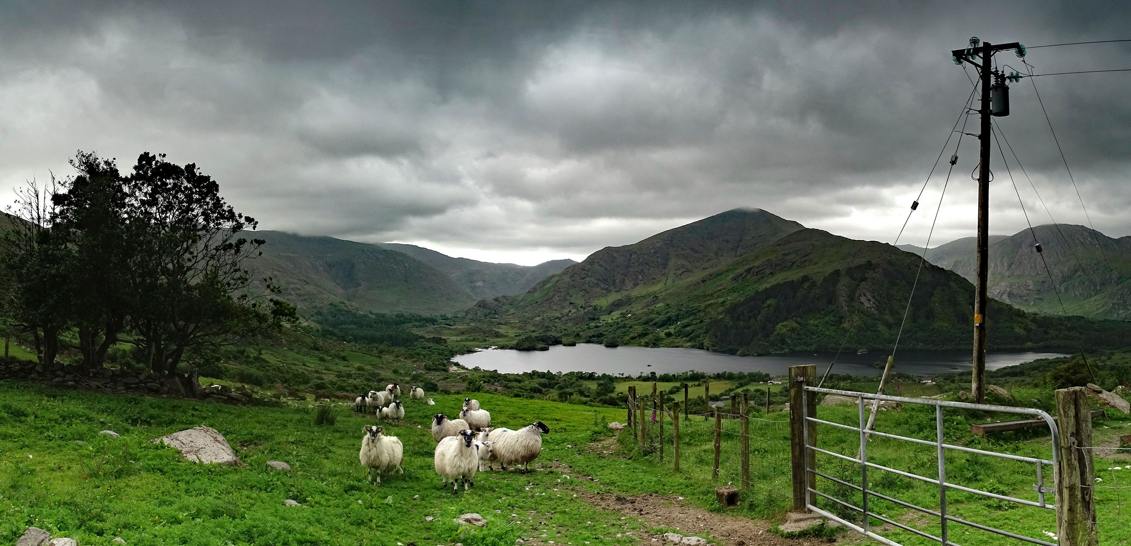 Begegnung am Healy Pass