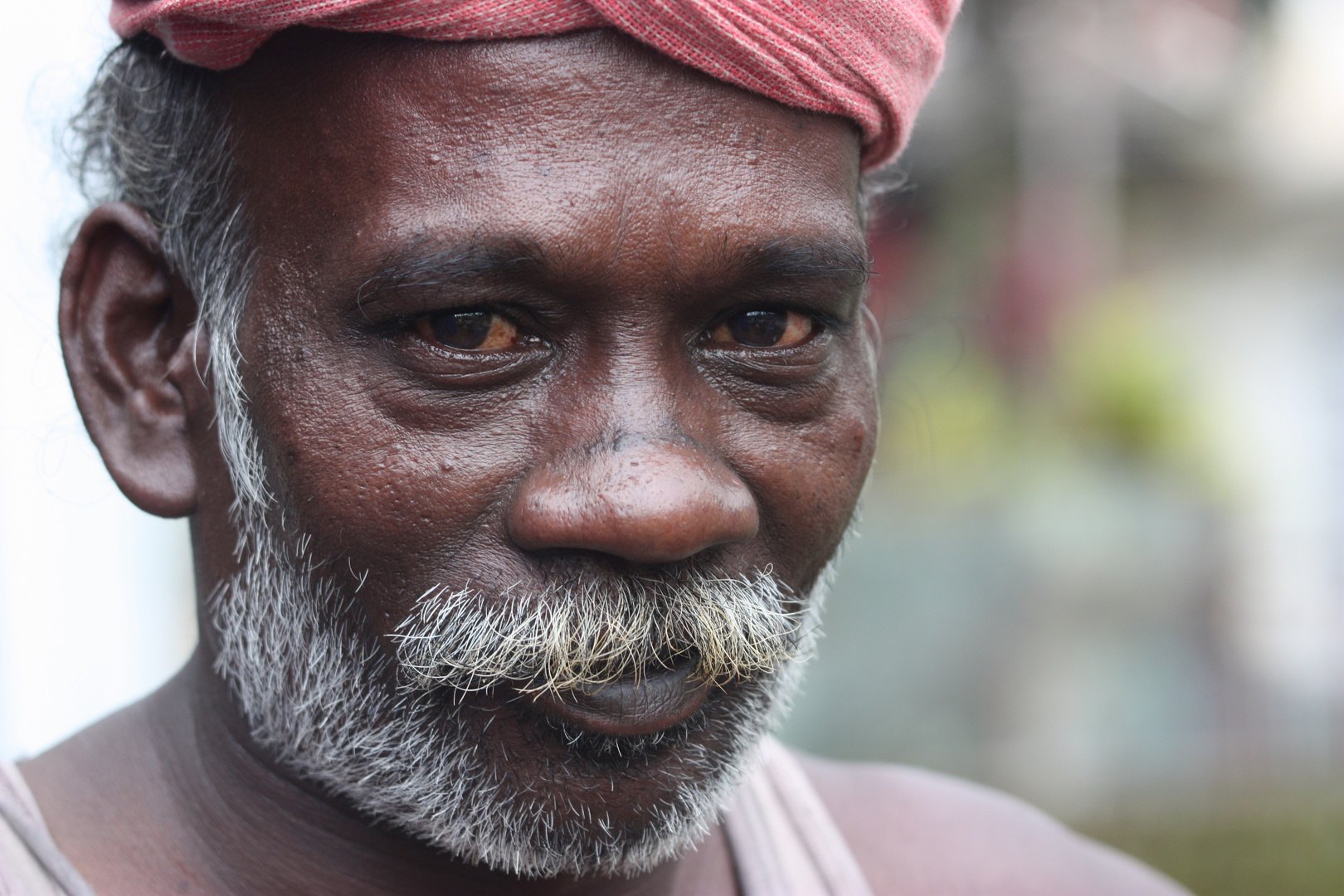 Begegnung am Rande der Strasse (Indien)