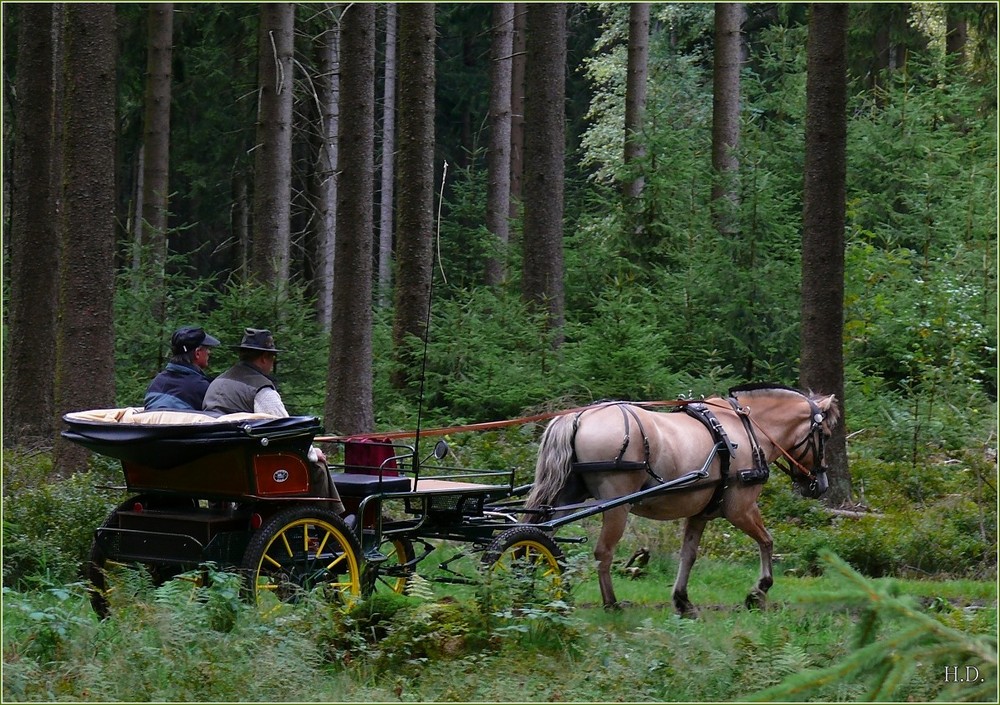 Begegnung am Rothaarsteig