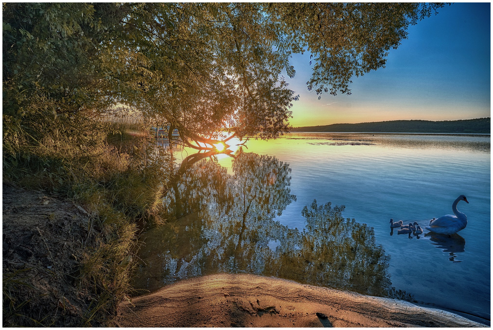 Begegnung am Schwielowsee