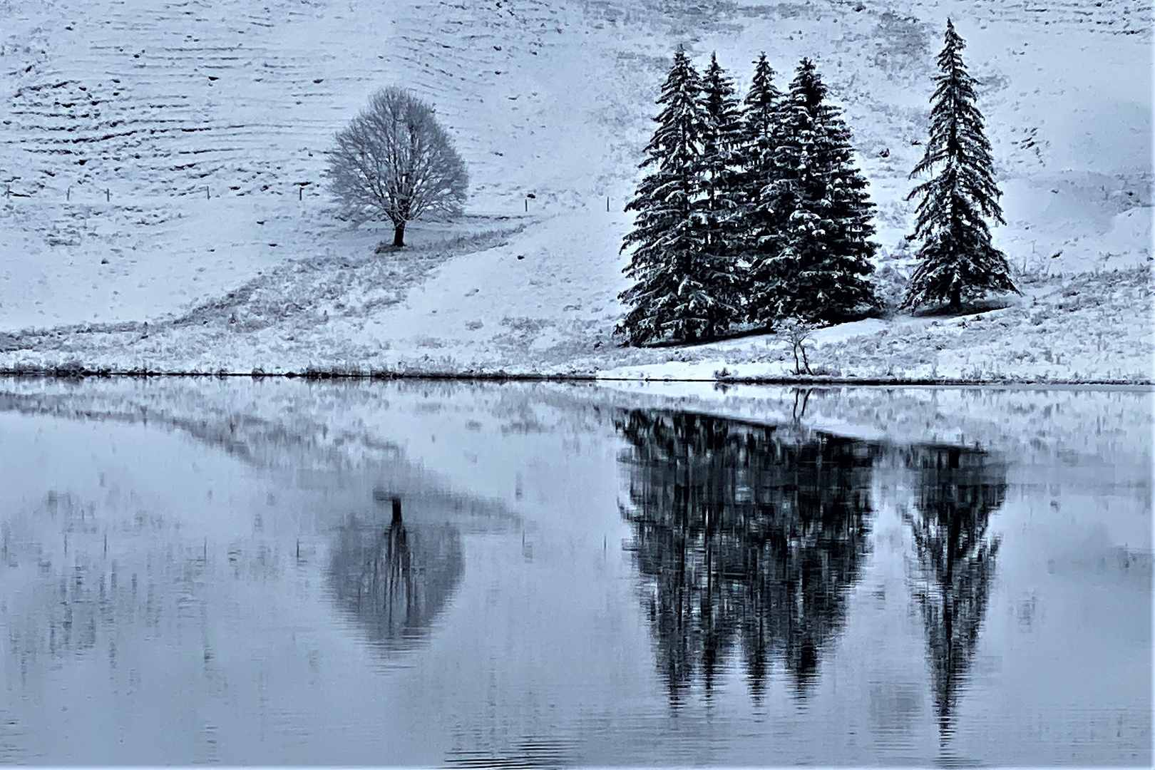 Begegnung am See