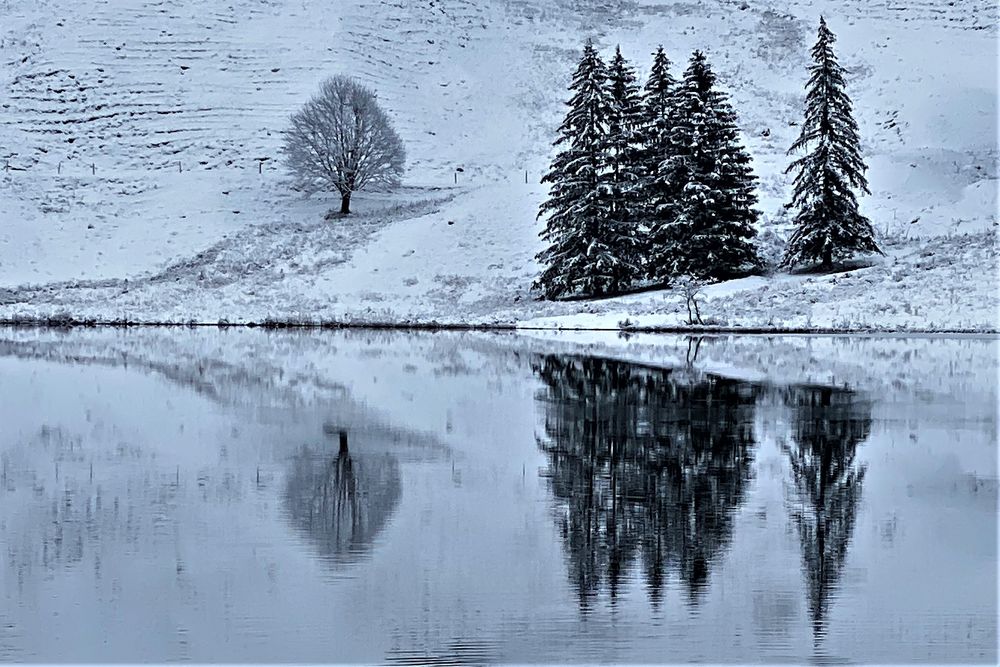 Begegnung am See