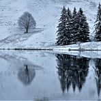 Begegnung am See