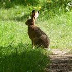 Begegnung am Seeufer