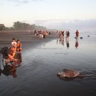 Begegnung am Strand