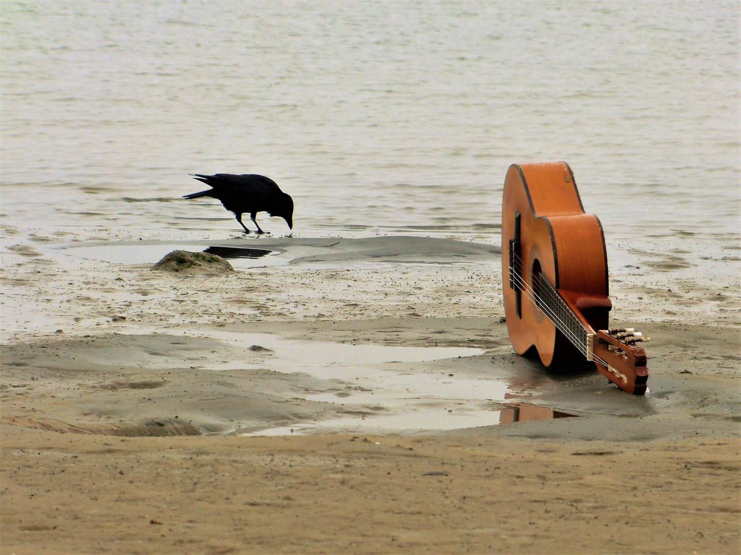 Begegnung am Strand