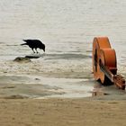 Begegnung am Strand