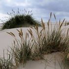 Begegnung am Strand