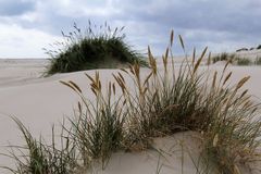 Begegnung am Strand