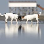 Begegnung am Strand