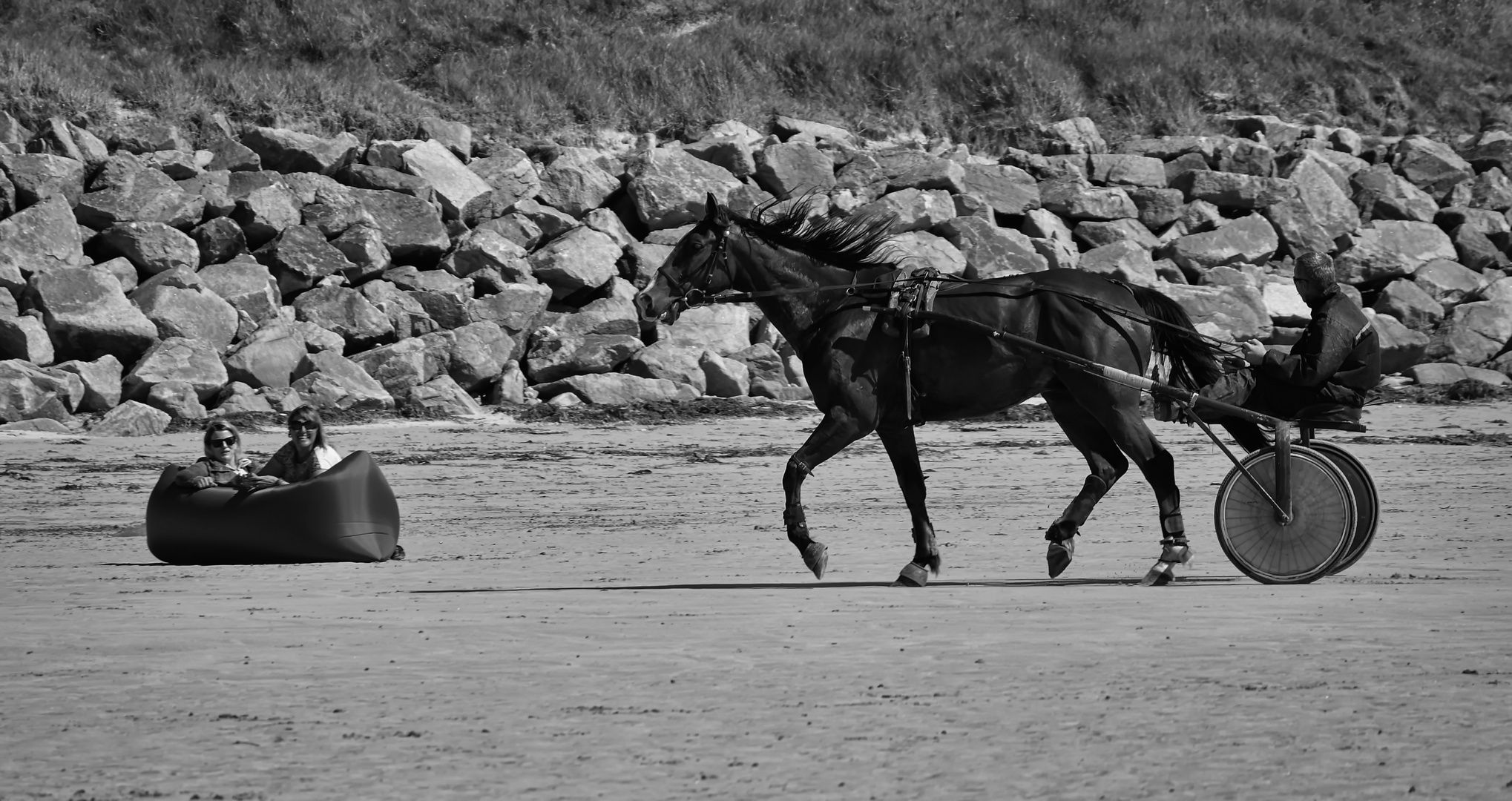 Begegnung am Strand von Dossen!!