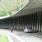 Begegnung am Tourmalet ....