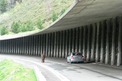 Begegnung am Tourmalet ....