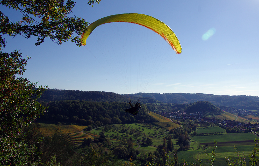 Begegnung am Waldrand