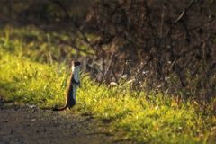 Begegnung am Wegesrand