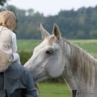 Begegnung am Zaun