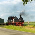 Begegnung an der Landstraße