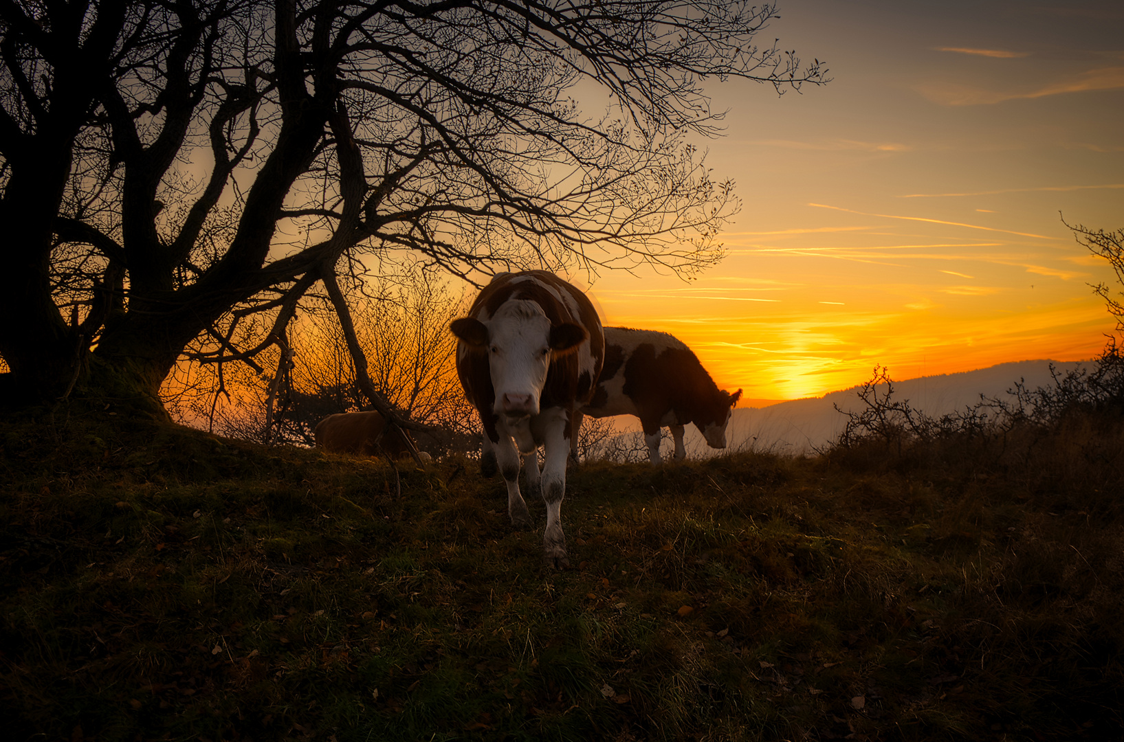 Begegnung an einem Novemberabend