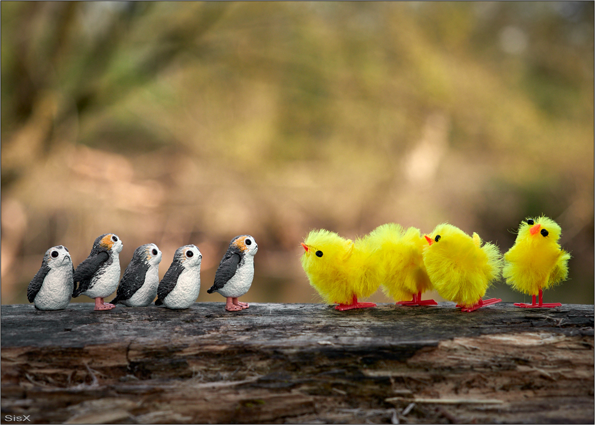 Begegnung an Ostern