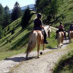 Begegnung auf 2000 m