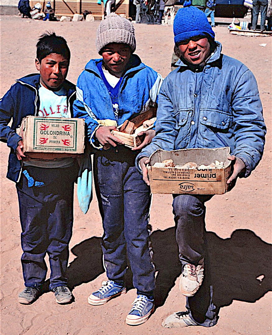 Begegnung auf dem Altiplano (Provinz Salta, Argentinien)