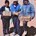 Begegnung auf dem Altiplano (Provinz Salta, Argentinien)