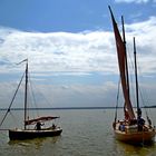 Begegnung auf dem Bodden