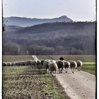 Begegnung auf dem Börlenberg