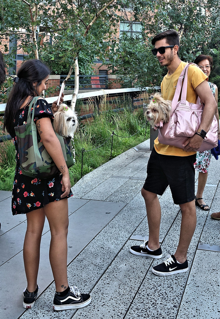 begegnung auf dem highline park