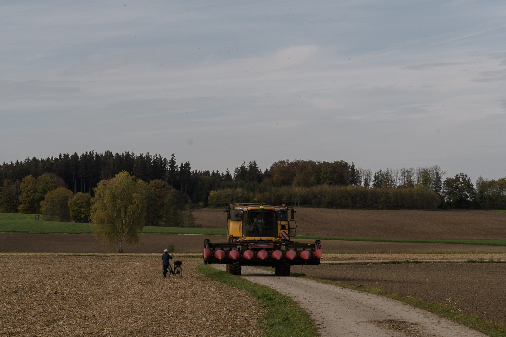 Begegnung auf dem Land