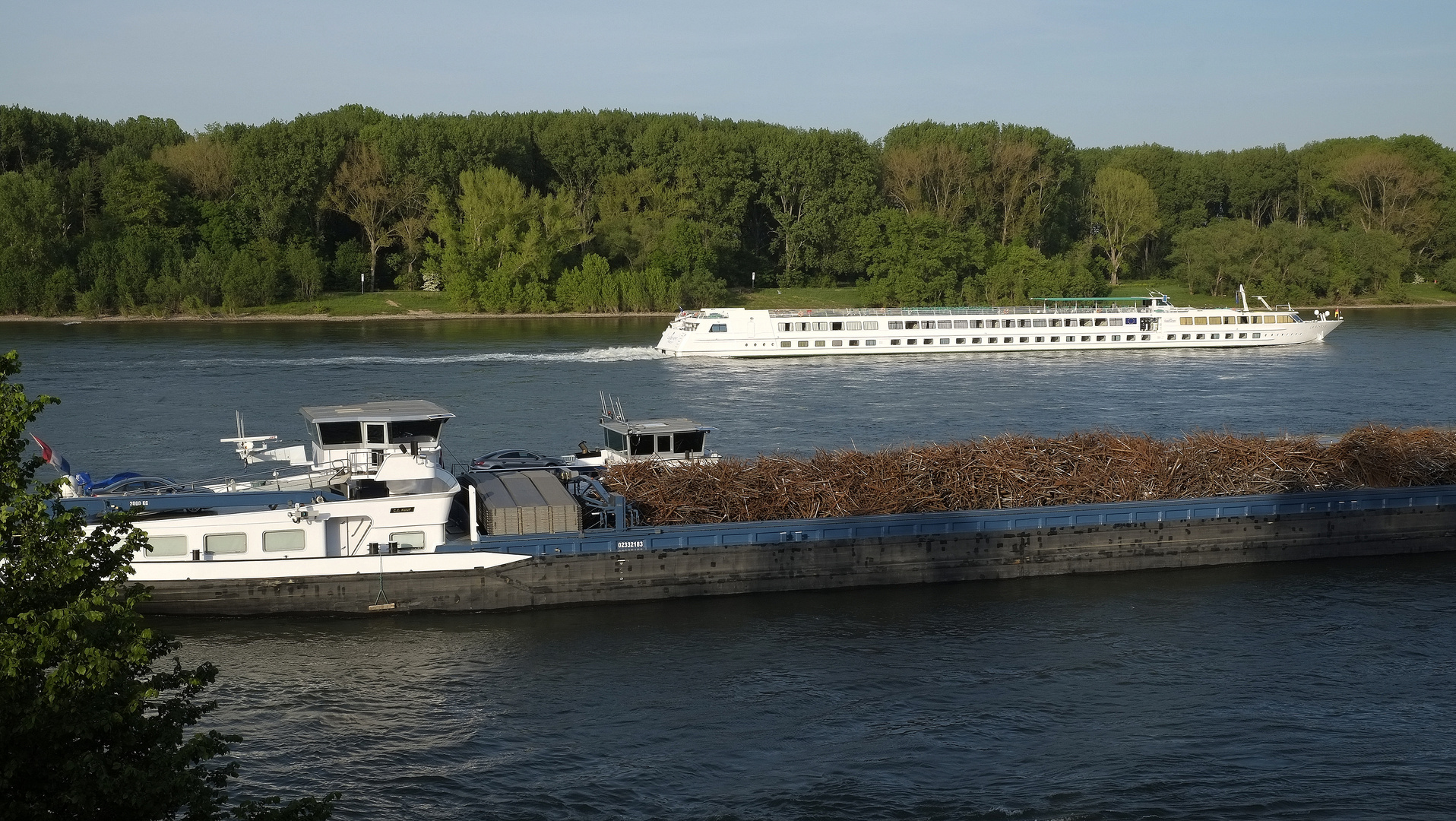 Begegnung auf dem Rhein