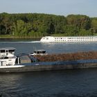 Begegnung auf dem Rhein