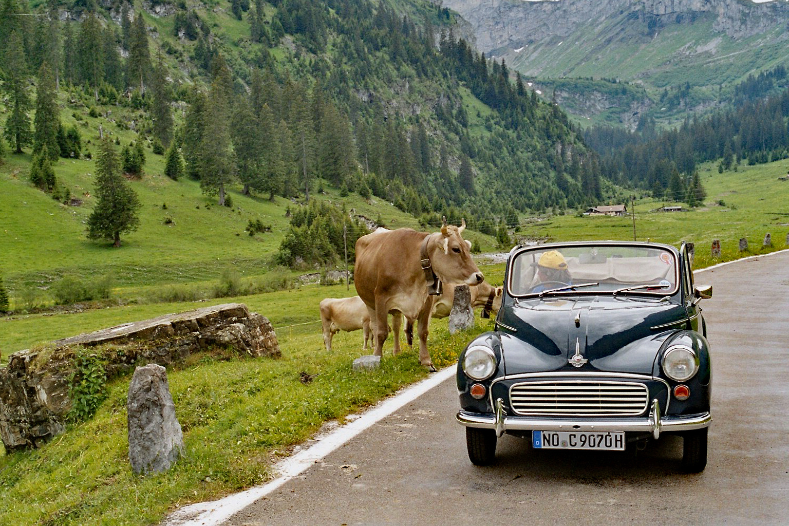 Begegnung auf dem Urnerboden