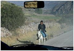 Begegnung auf dem Weg zum "Kreuz des Kondors" Nahe Chivay/ Peru