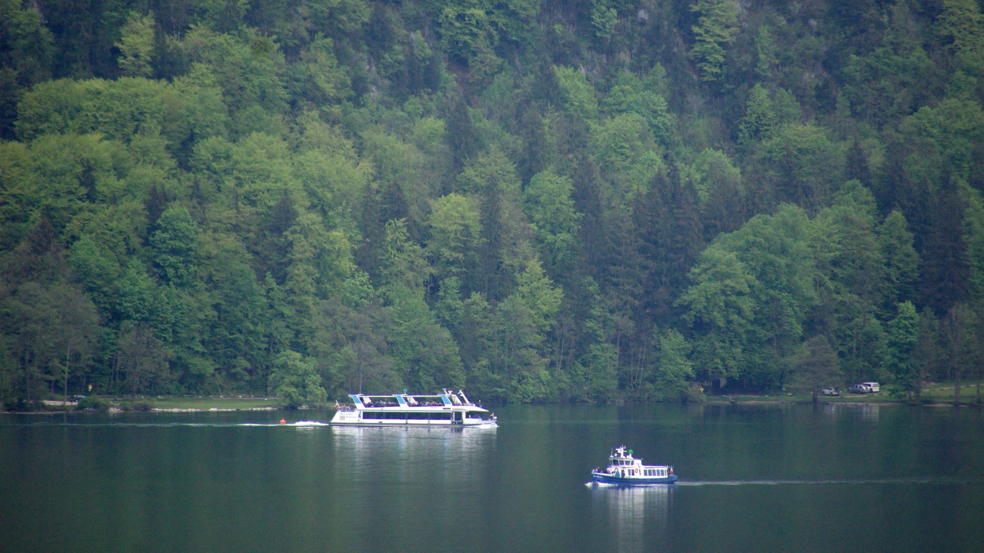 Begegnung auf dem Wolfgangsee