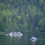 Begegnung auf dem Wolfgangsee