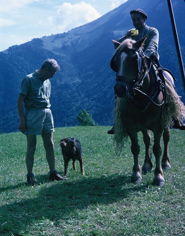 Begegnung auf der Alm