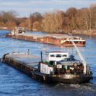 Begegnung auf der Elbe