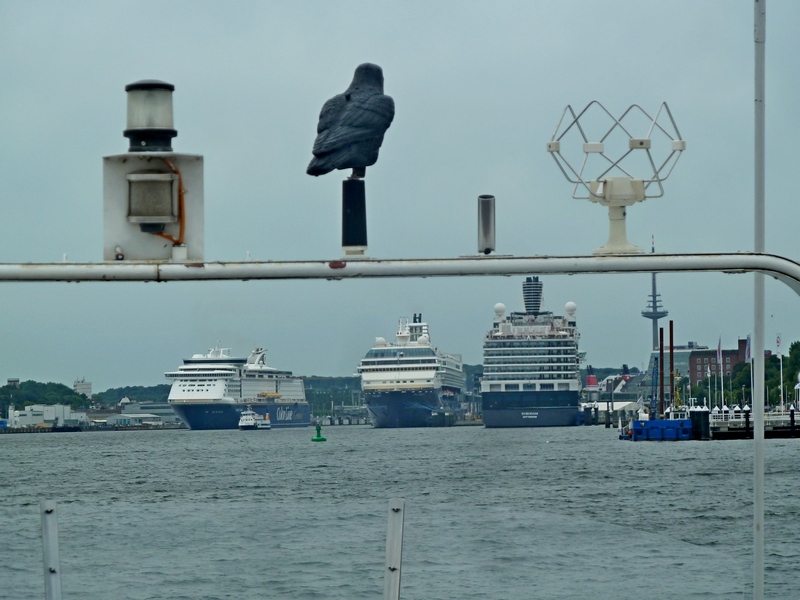 Begegnung auf der Förde in Kiel 2015